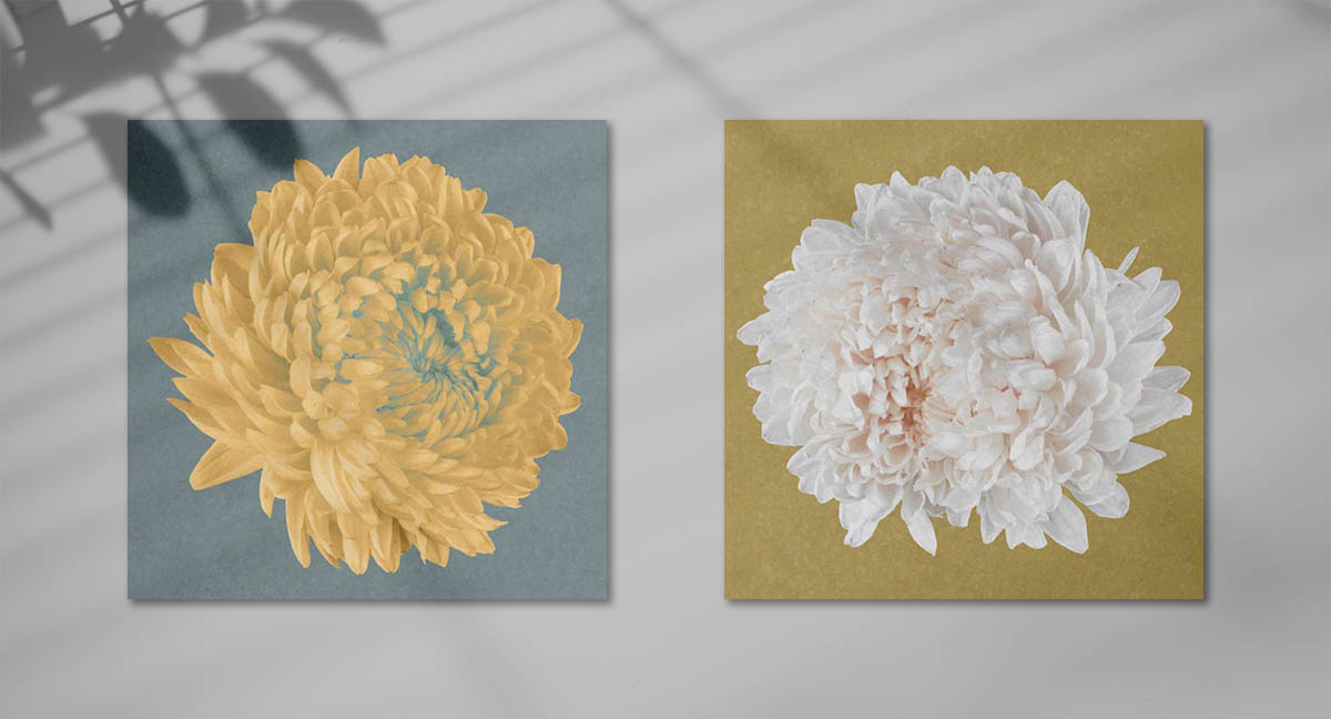 Floral art prints in yellow and turquoise by Hong Kong photographer Alvin Mak.